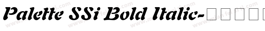 Palette SSi Bold Italic字体转换